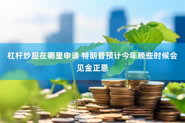 杠杆炒股在哪里申请 特朗普预计今年晚些时候会见金正恩